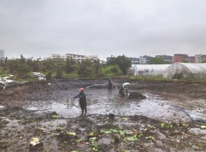 银州河道鱼塘清淤